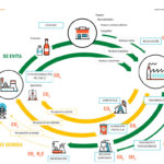 Economia circular ONU