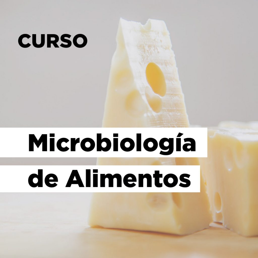 Microbiología Alimentos curso online