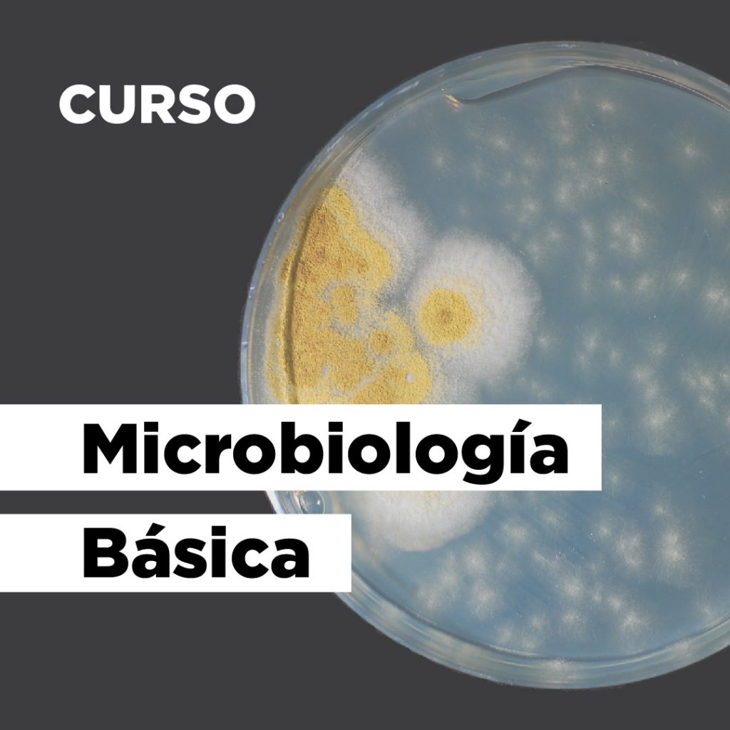 Microbiología Básica curso online