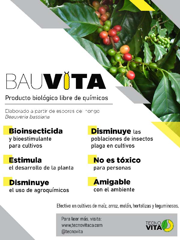 Bauvita Flyer