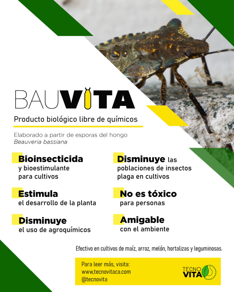 Beauveria es Bauvita