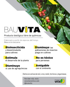 Bauvita Flyer