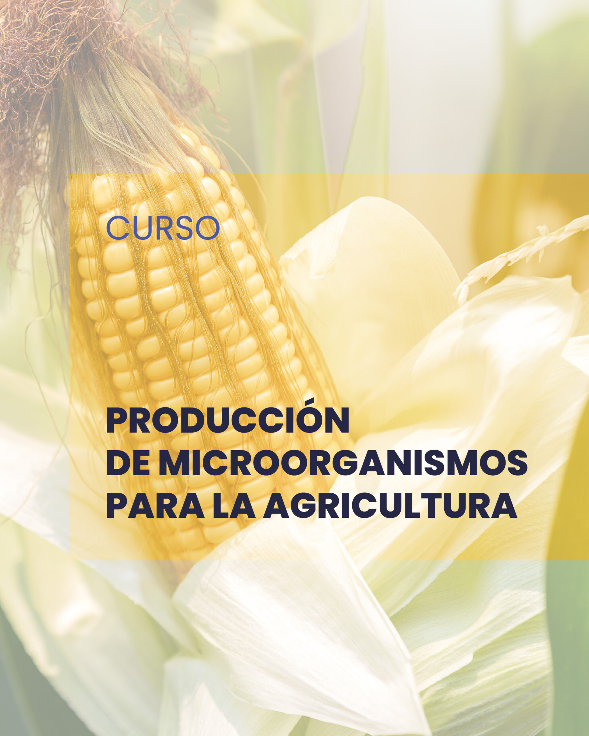 Curso producción microorganismos para la agricultura