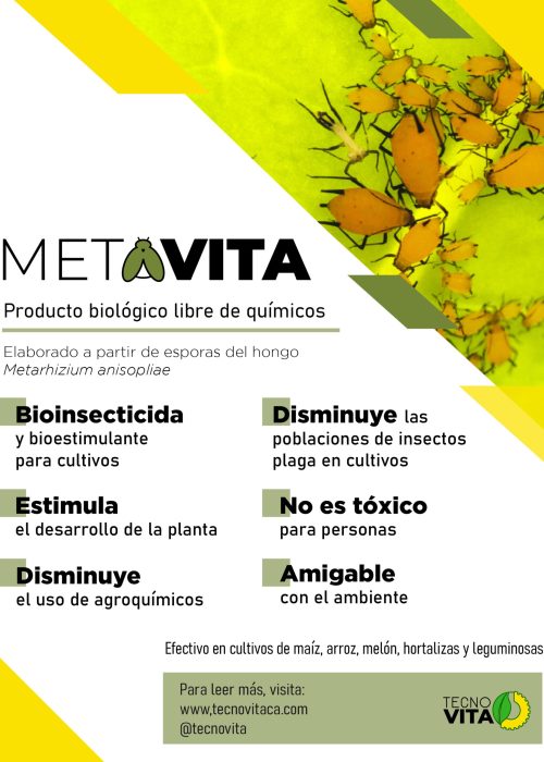 Metarhizium es Metavita